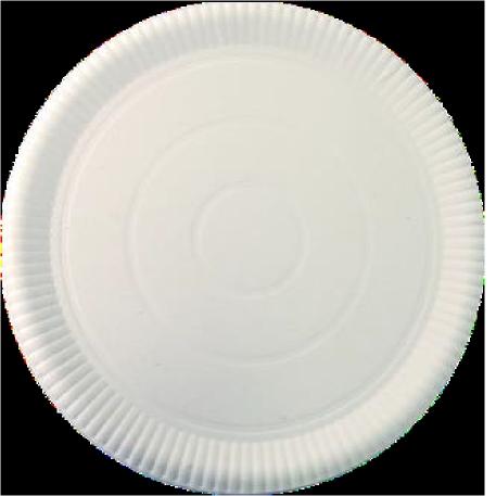 PLATO BLANCO TERMOFORMADO Nº4 30 CM X10