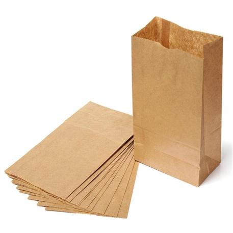 BOLSA PAPEL KRAFT Nº 1L X100