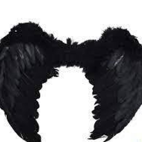ALA ANGEL NEGRO