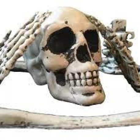 HUESOS TENEBROSOS (1 BOLSA X12)
