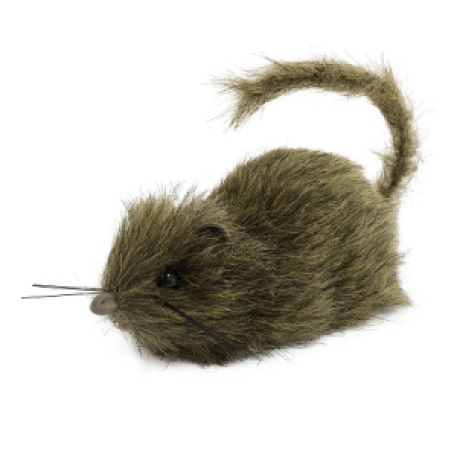 RATA PARANOICA 7cm