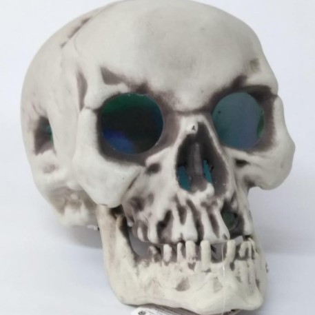 CALAVERA CABEZA LED