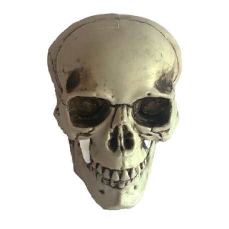 CALAVERA DECO 13X12X16