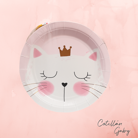 PLATO KITTY